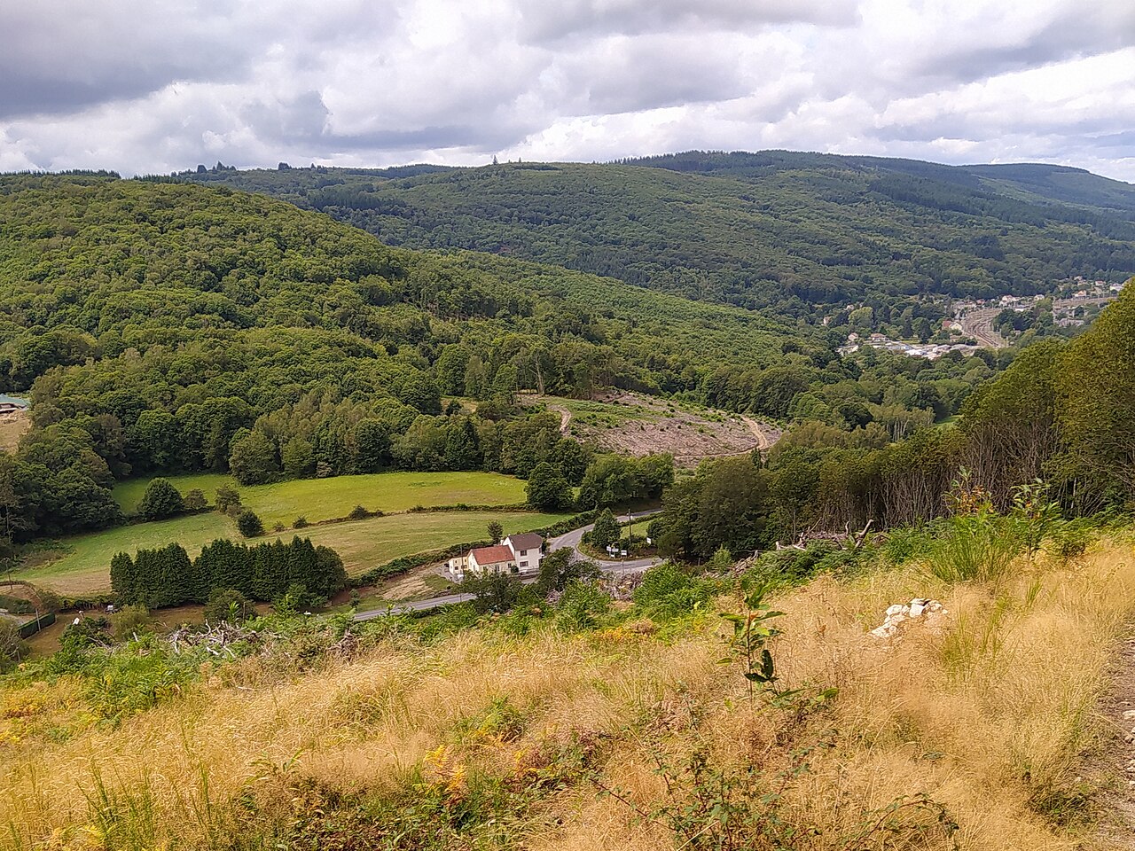 Circuit des Loges 1 : Le Cros