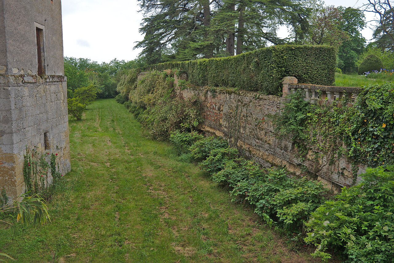CR1 – Le petit jaune