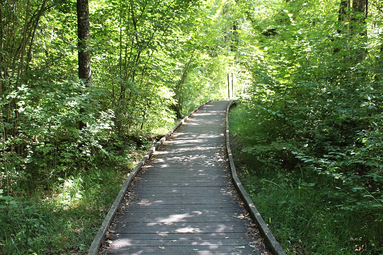 Sentier sur pilotis du Marais de Lavours