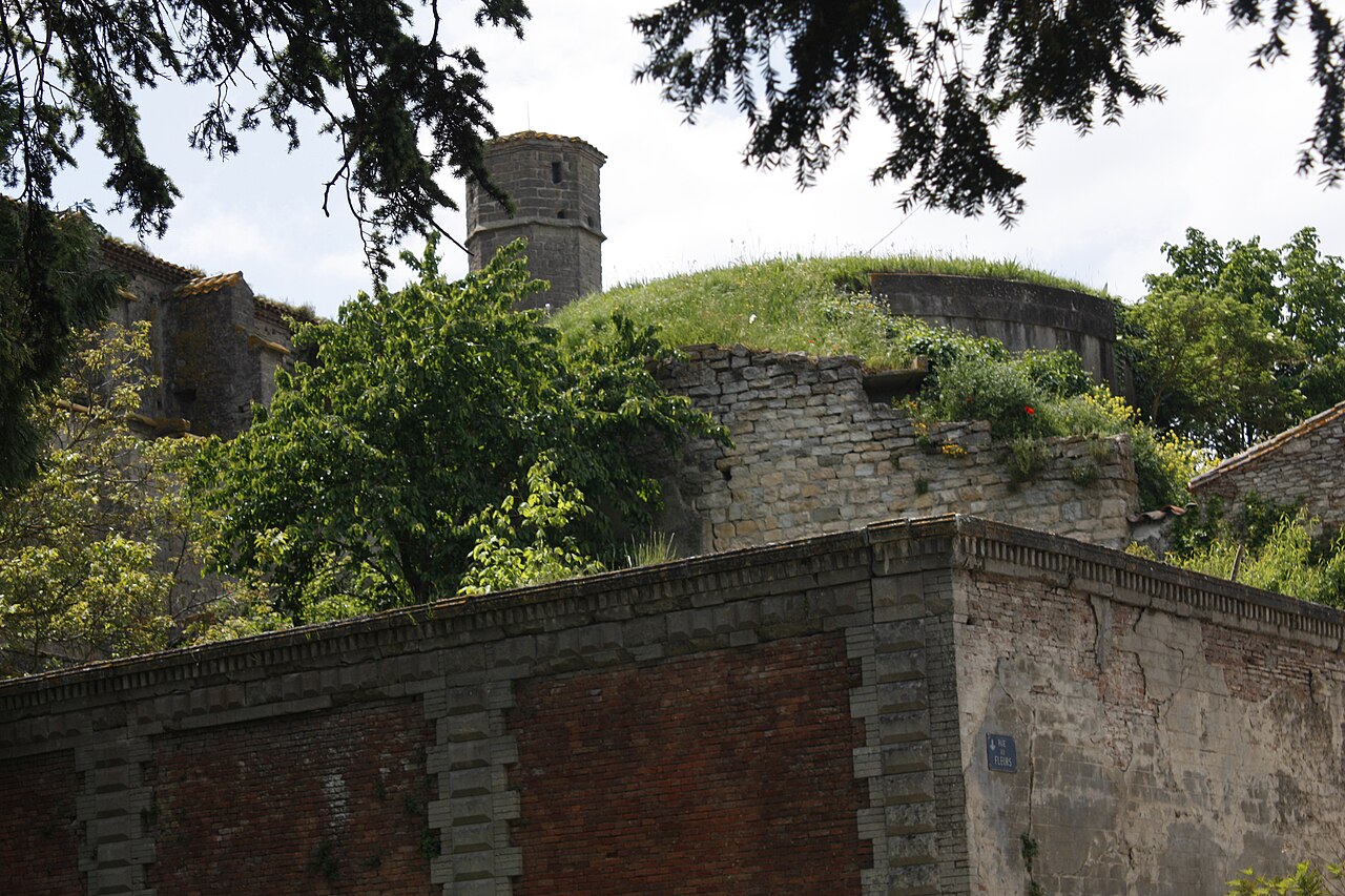 Bois du Chapitre