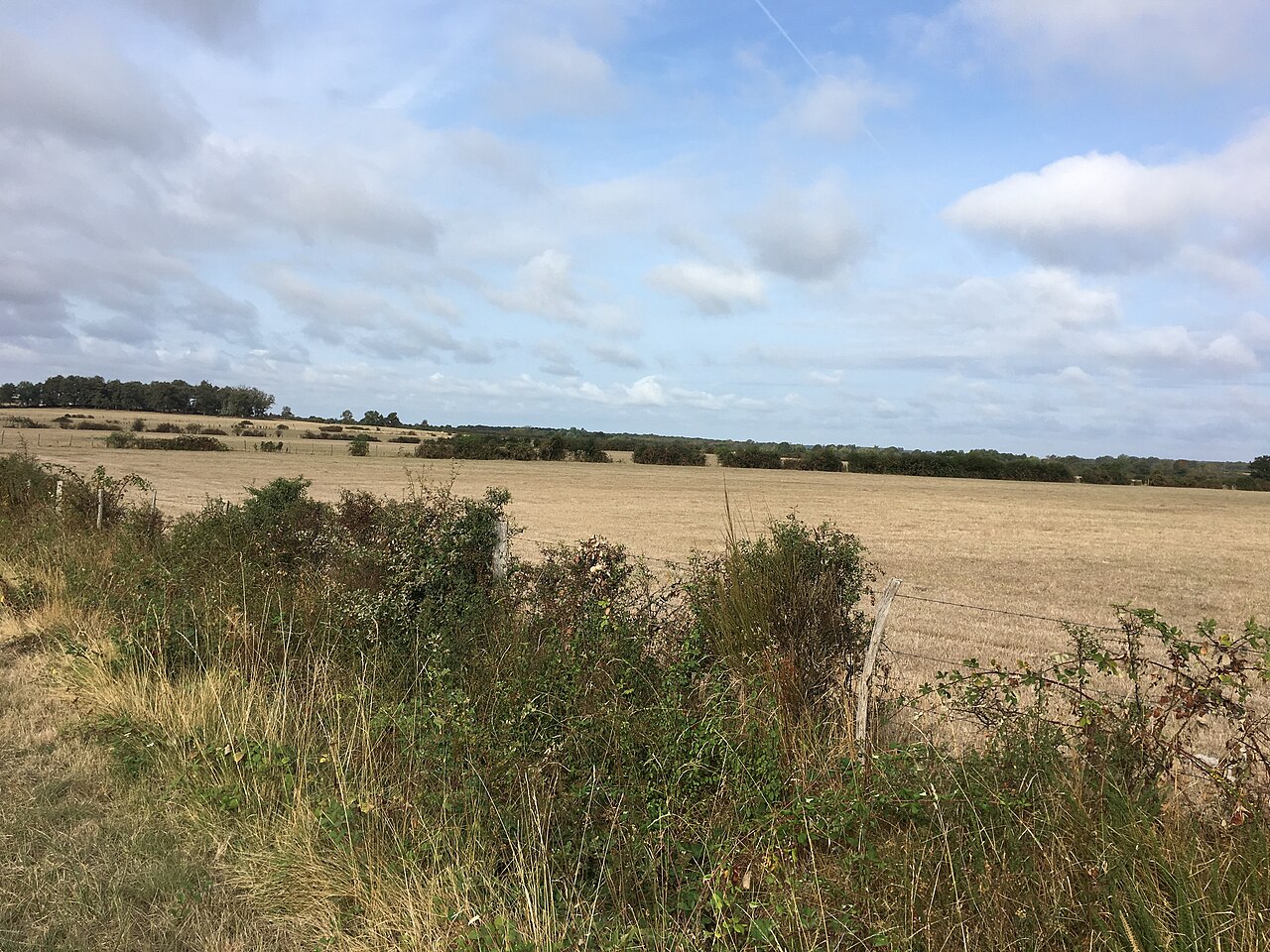 Des bords d'étangs au bord de Creuse
