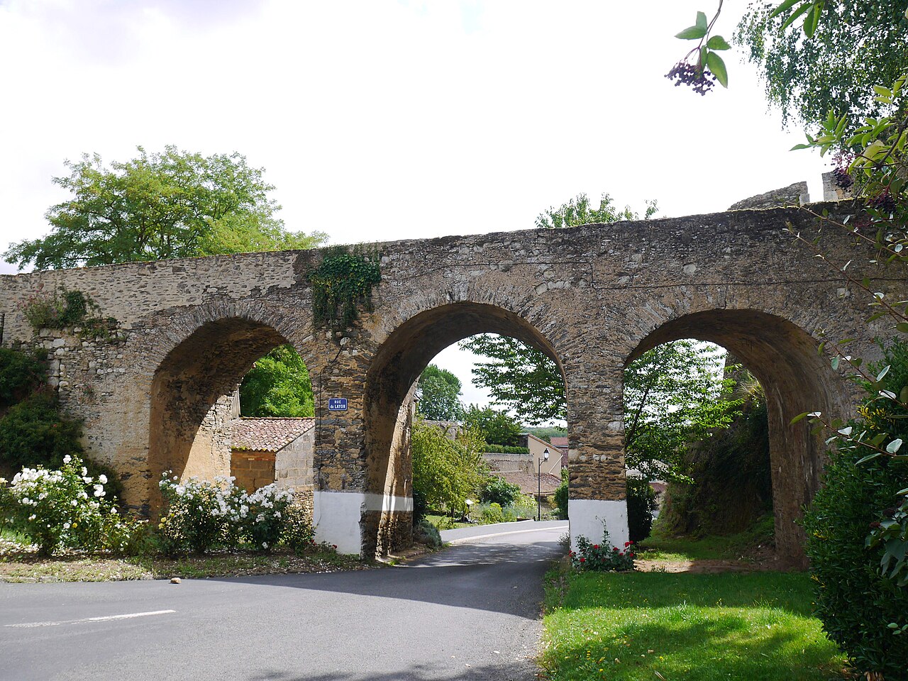 Le sentier de la forêt