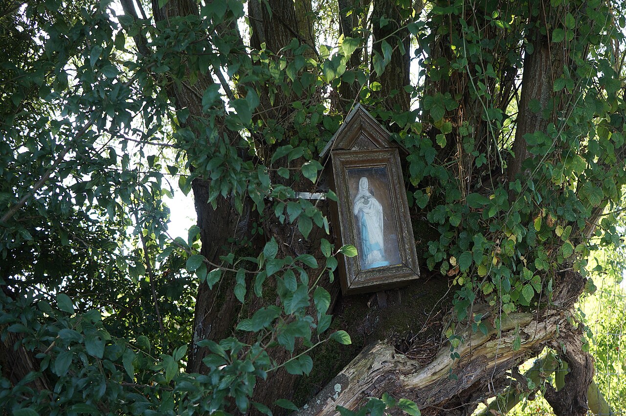 Chemin du Château