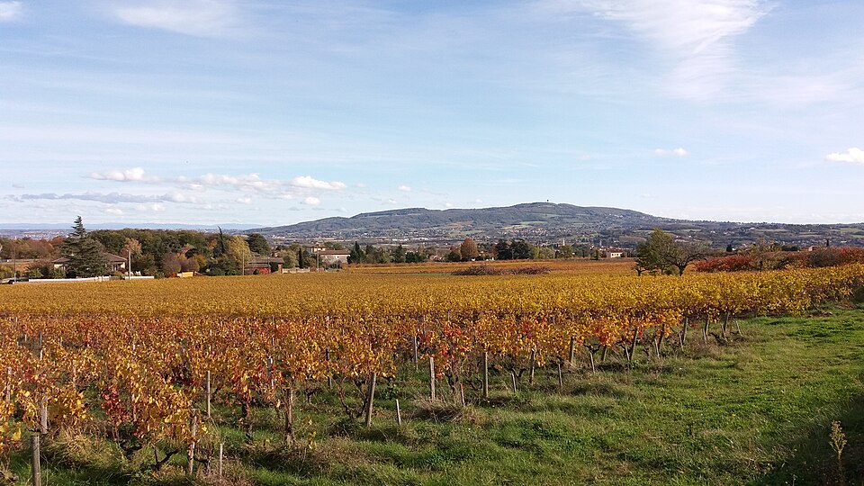 Grand Tour des Monts d'Or