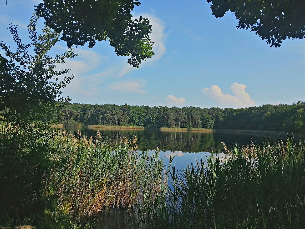 Chemin du verger