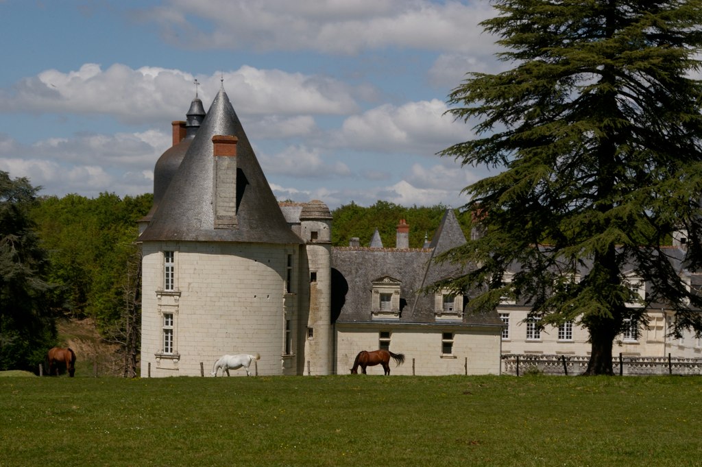 Archéologie et viticulture