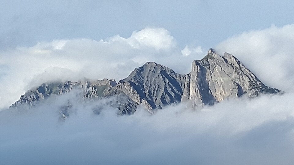 B11 - Les Hauts de Tourmentier