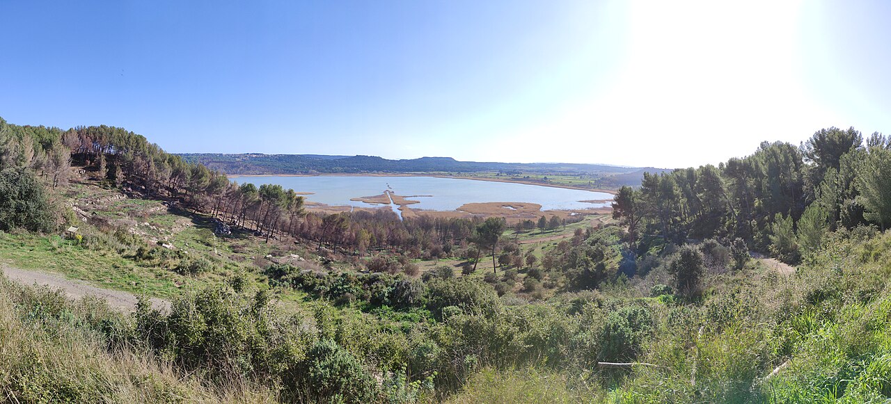 Forêt de Castillon Etangs de Pourra et d’Engrenier