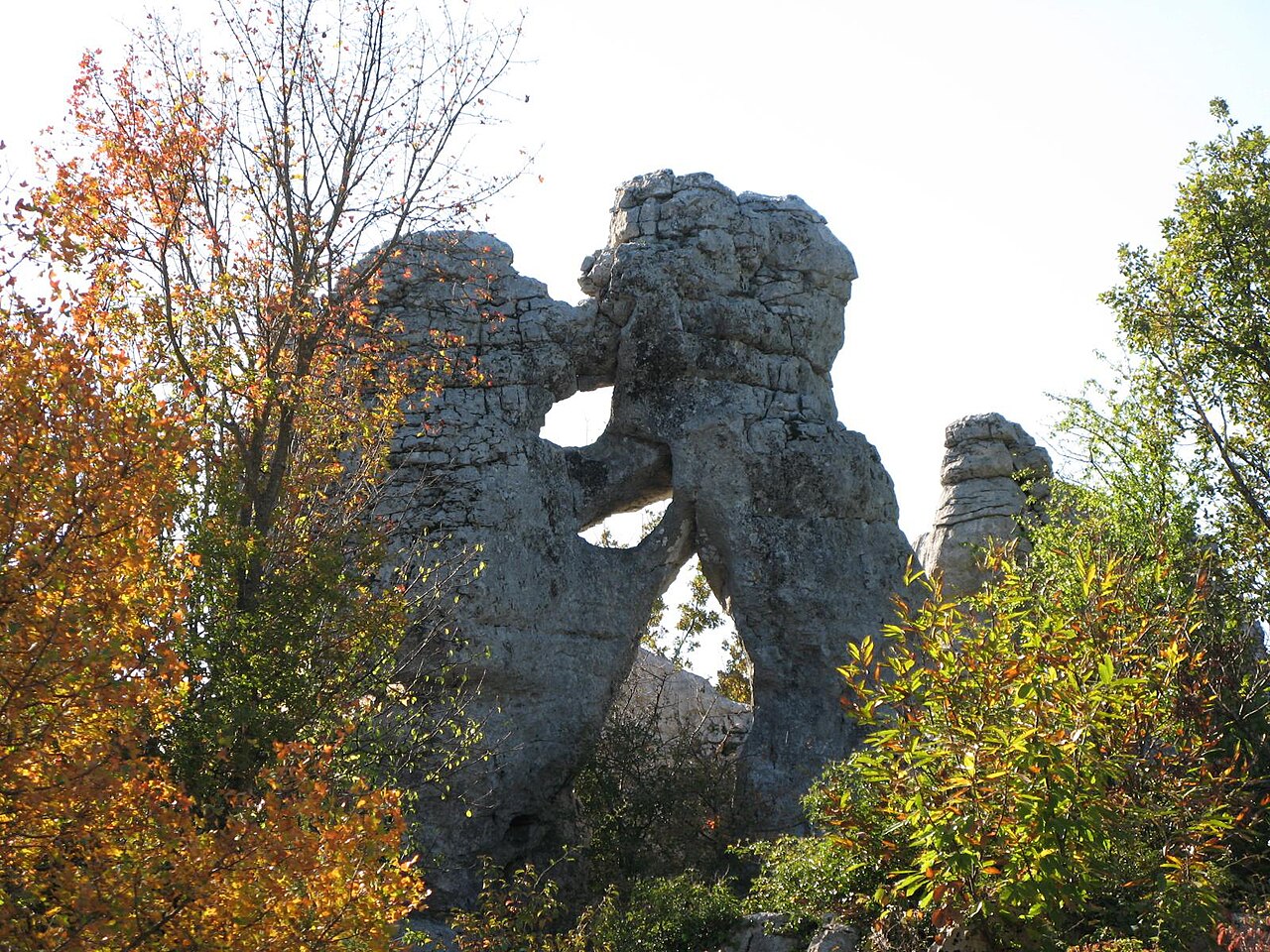 Bois de Païolive — circuit de l'Ours et du Lion