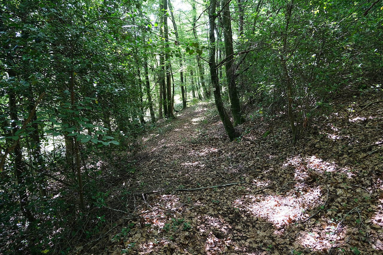 Alpage de l'Iselet
