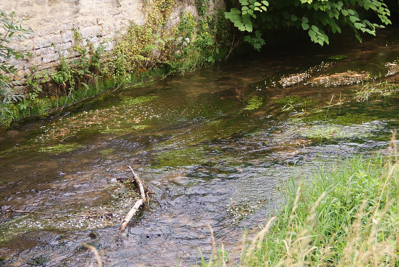La Source de l'Aube