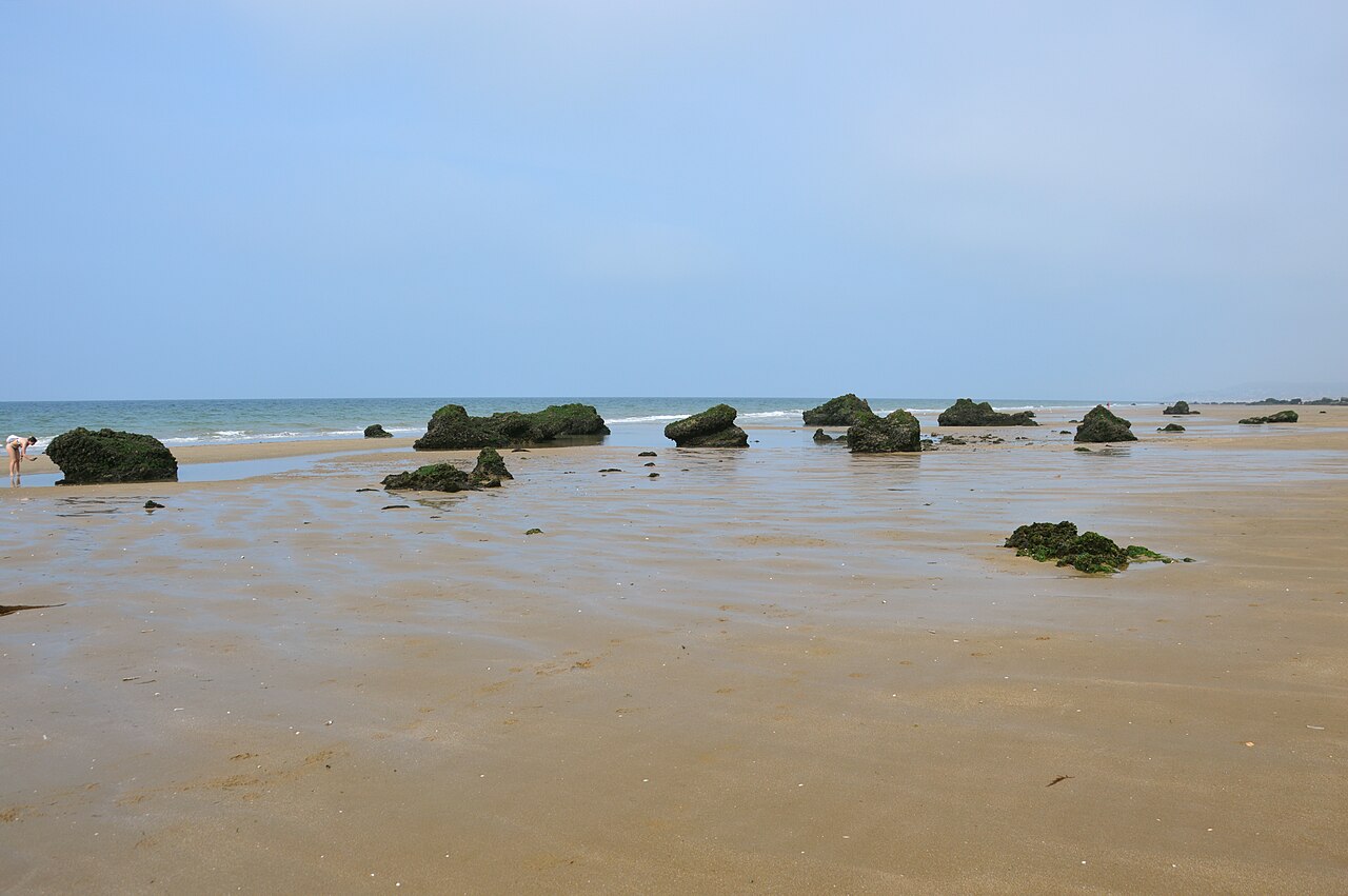 Falaises des Vaches Noires