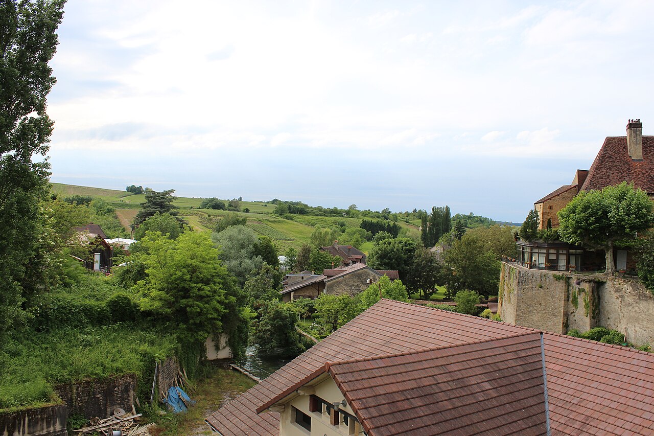 Balade en Arbois