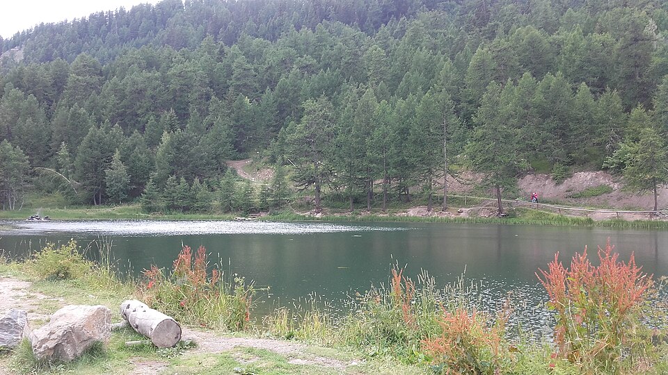 Albannette grande boucle
