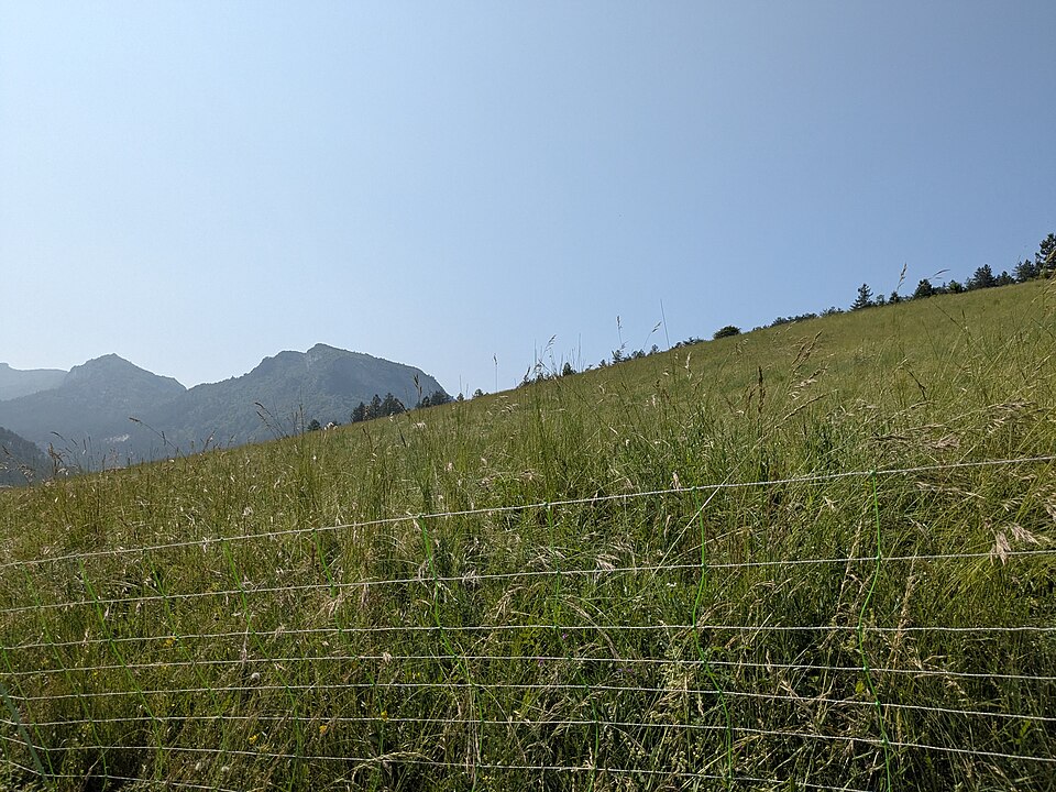 Le Luzet