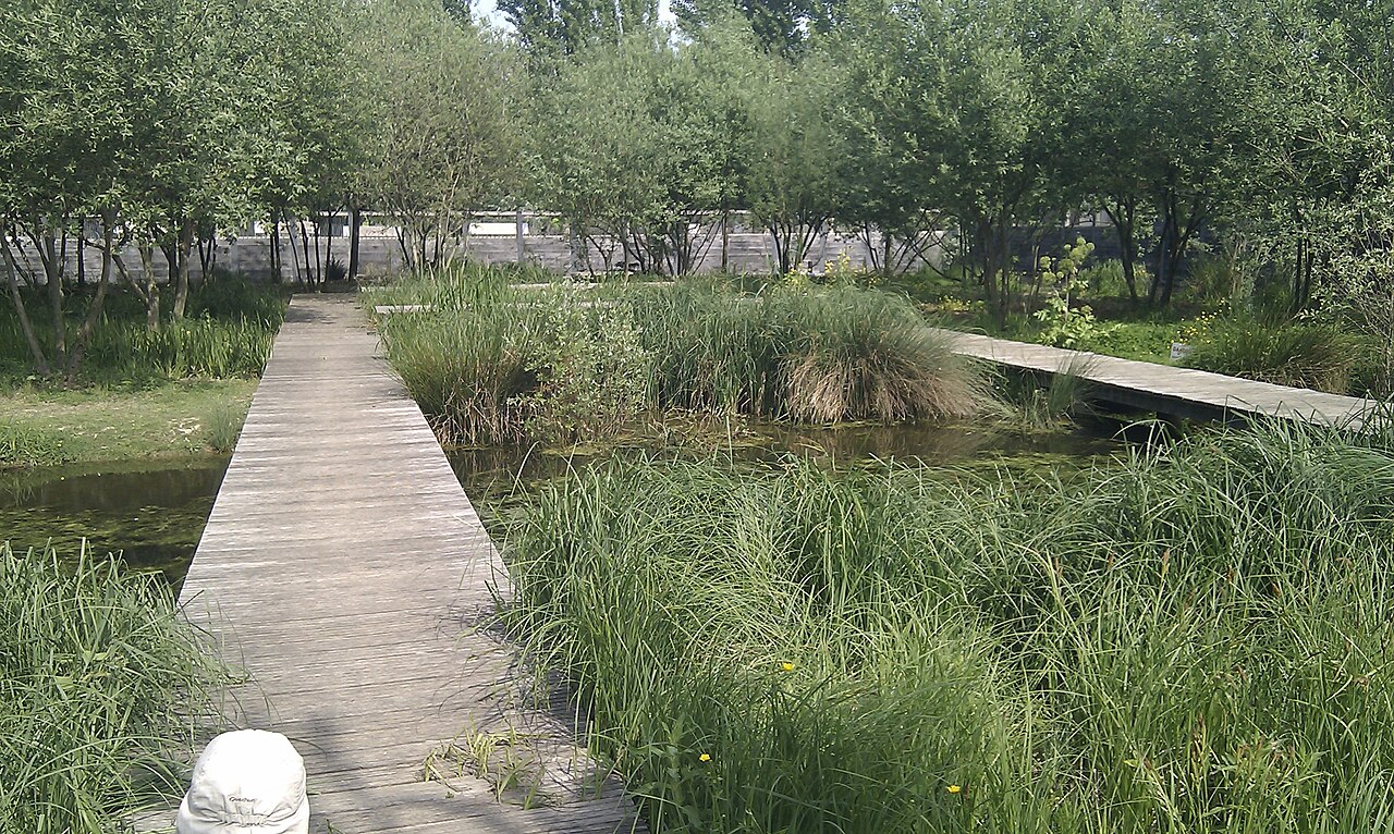 Sentier des berges