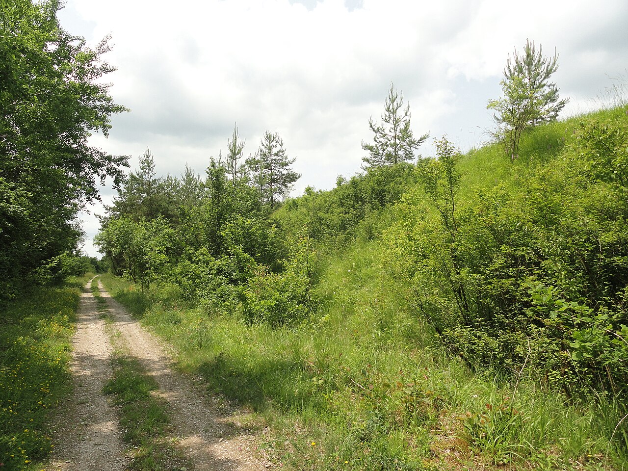 Parcours Rouge