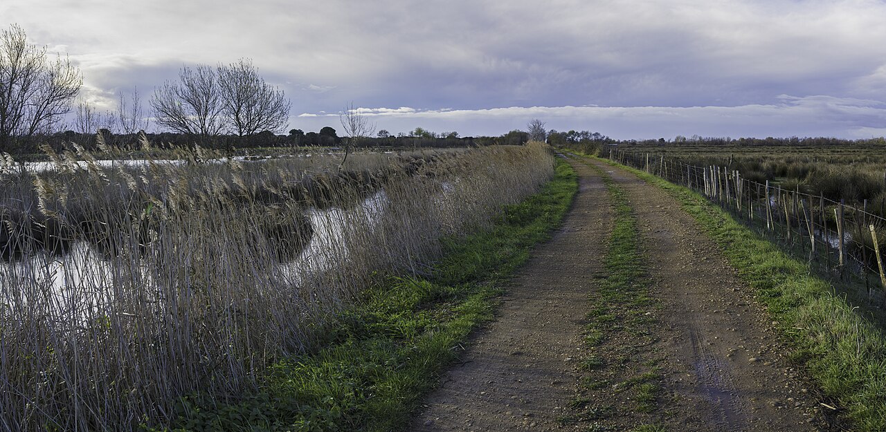 Autour du marais de Cougourlier