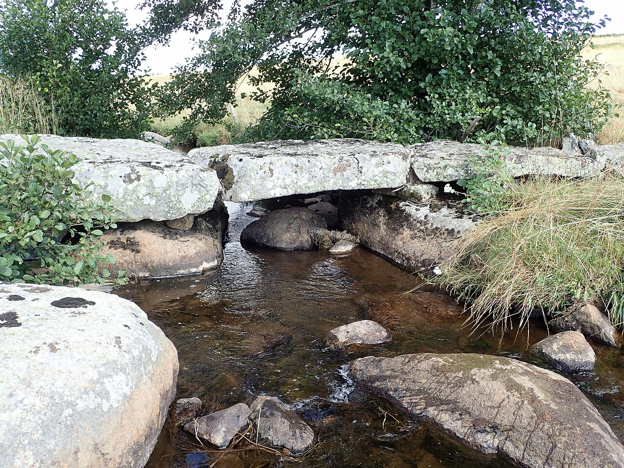 Aubrac au Coeur - Aubrac-Saint-Urcize