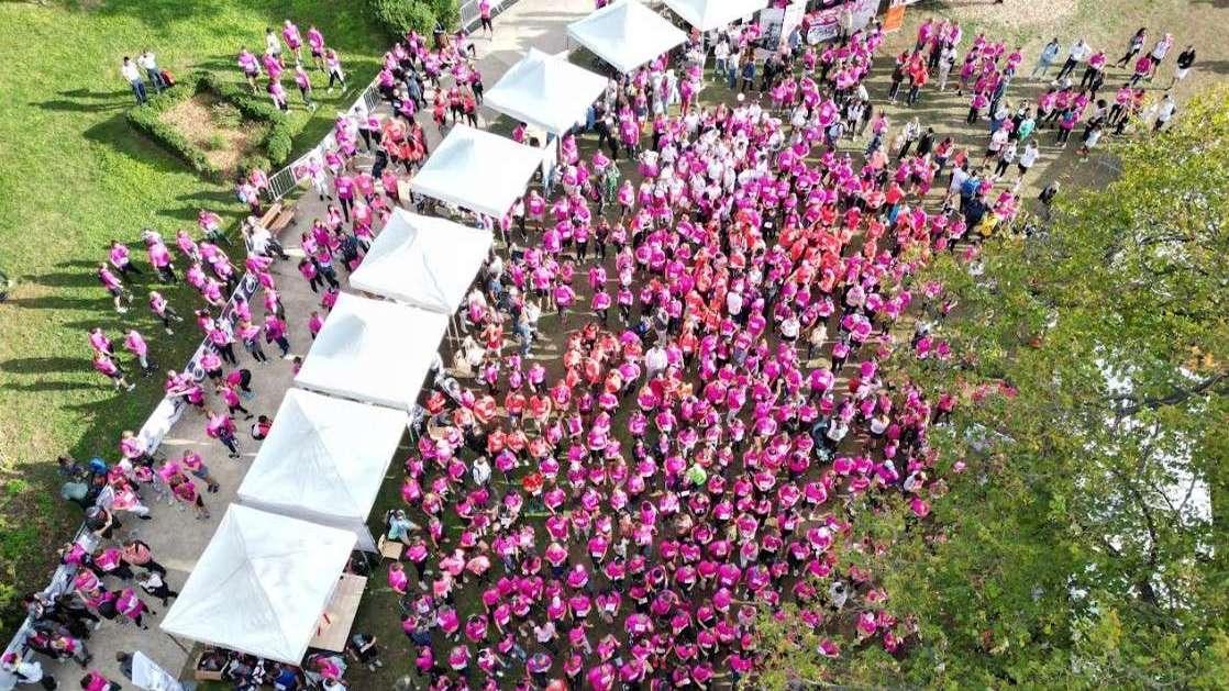 Marche Rose de Marseille
