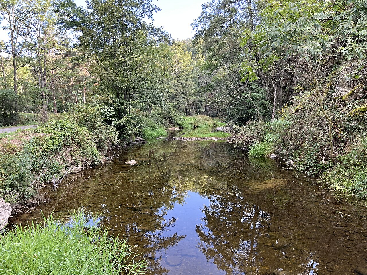 Randonnée : Les Gorges de la Daronne