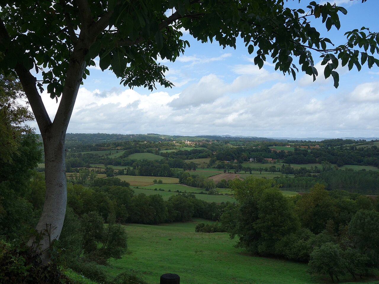 Autour de l'eau