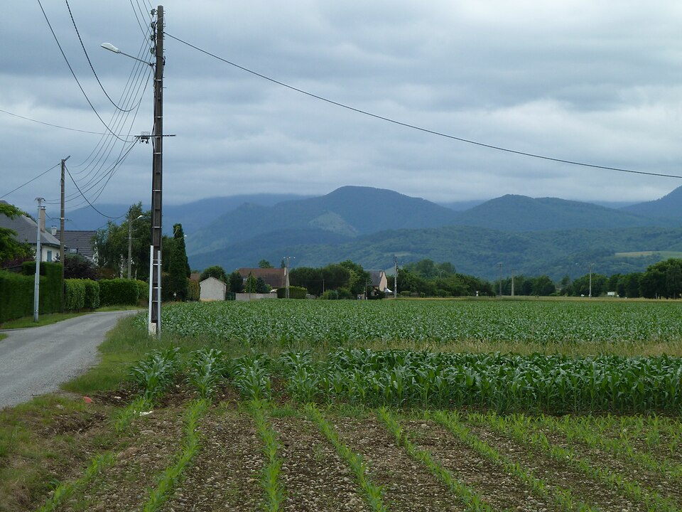 Le Bois de Rebisclou
