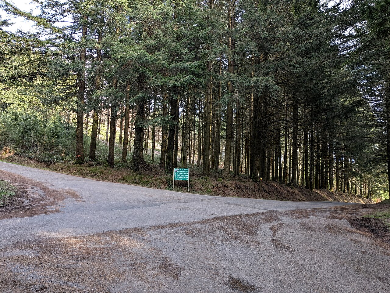 Circuit du Mont Saint-Rigaud 5 km