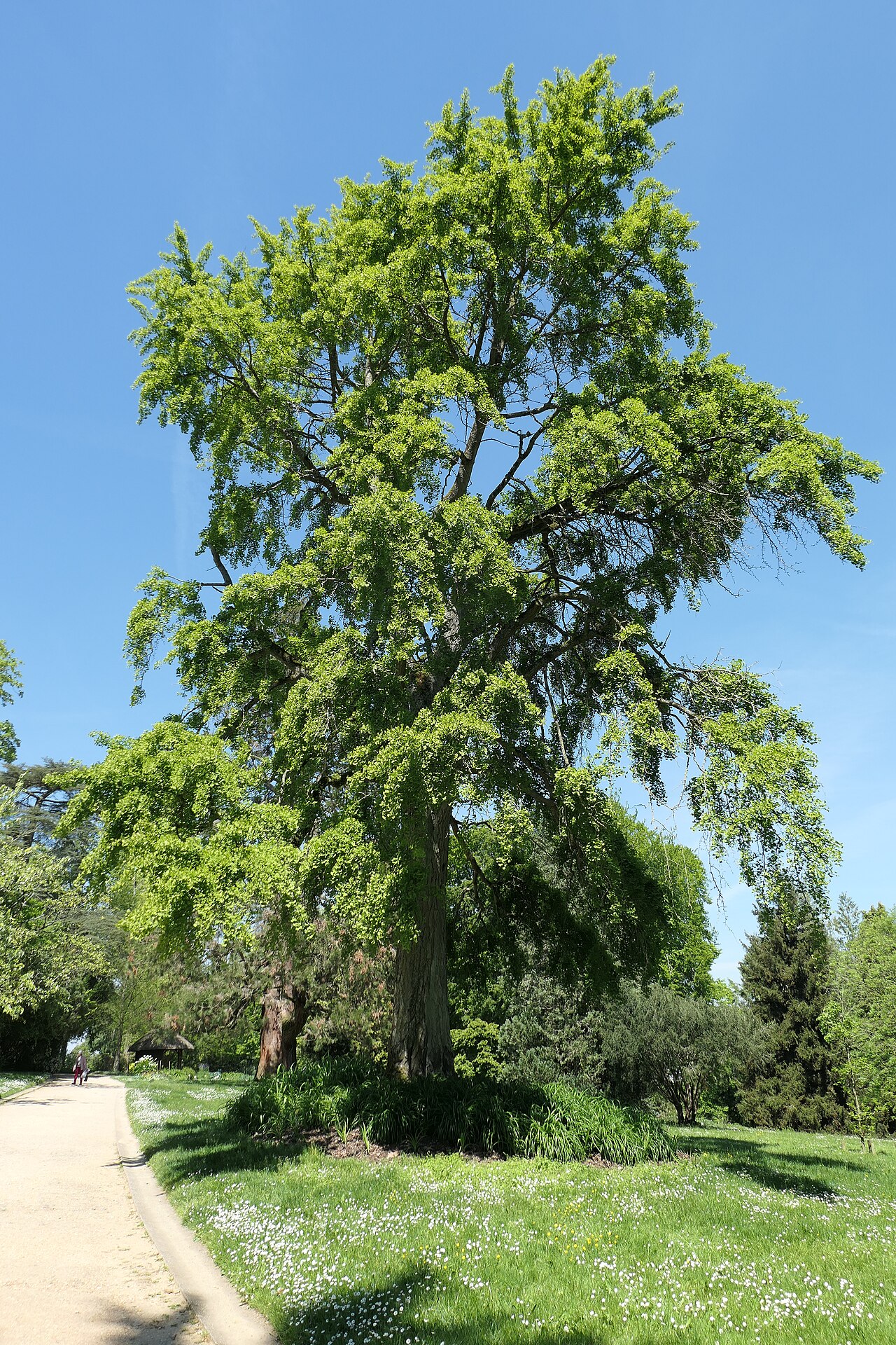 Jardin de la Perrine