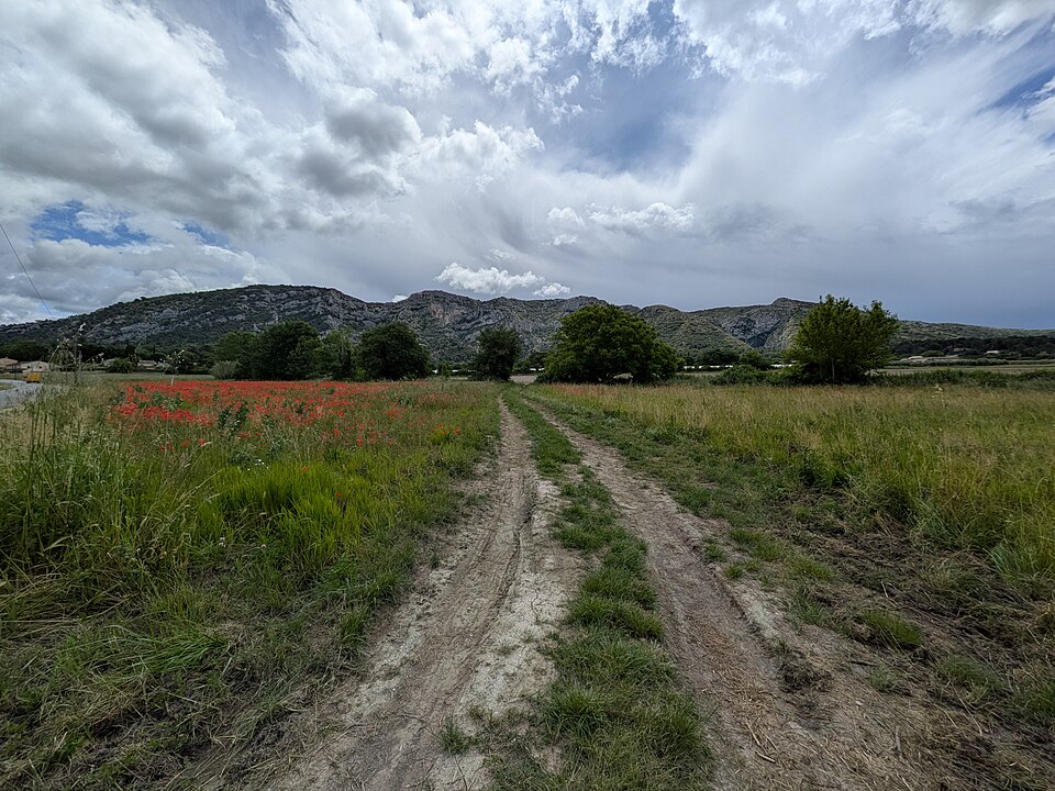 Le Sentier de la Forêt