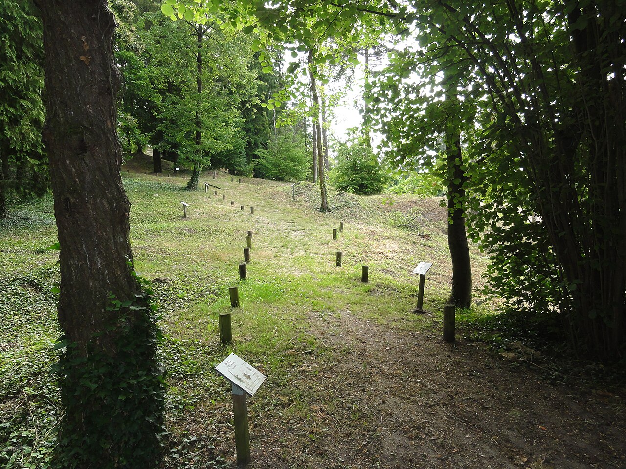 Plateau de Californie et arboretum de Craonne