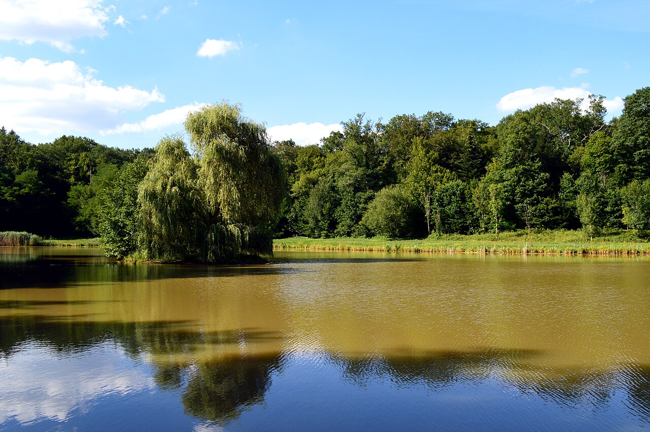 Bois des Fouchères
