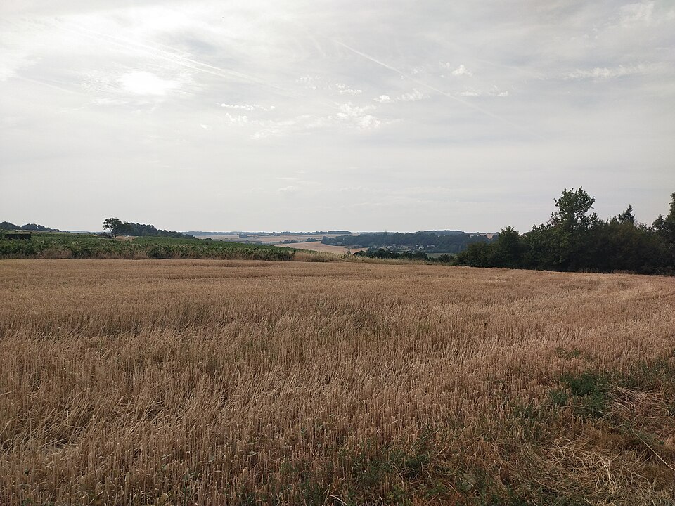 Autour de Bueil-en-Touraine - Circuit 2
