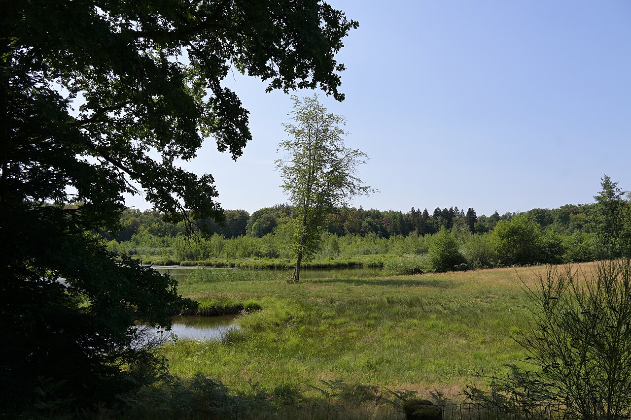Plateau des Mille Étangs