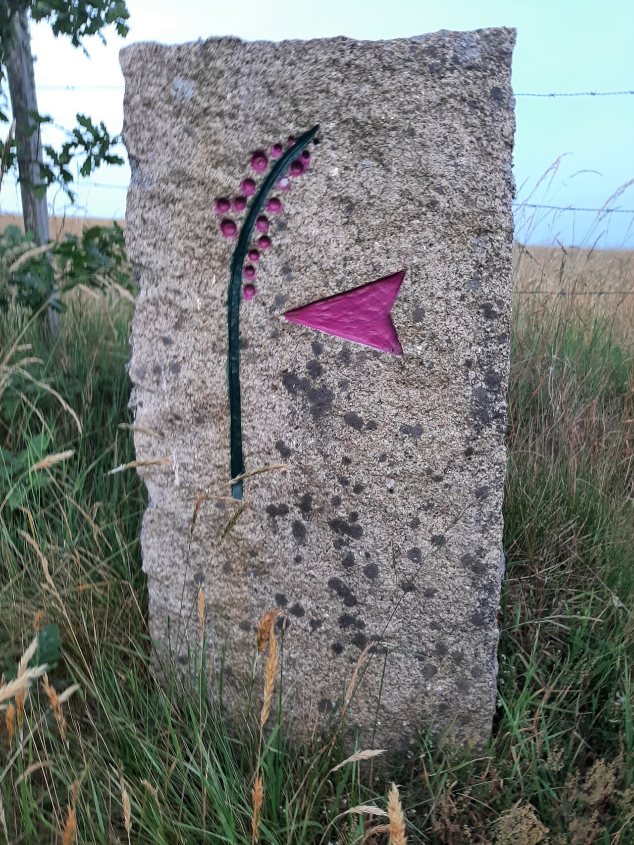 Tourbière du Longeyroux