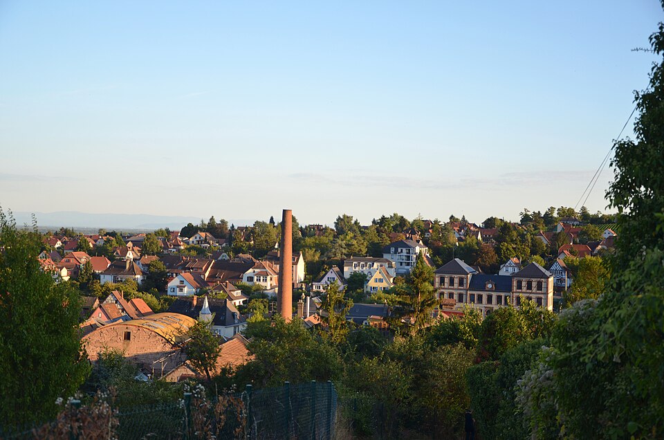 Circuit de l'ex-chemin de fer de la forêt